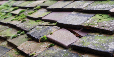 Pepperstock roof repair costs